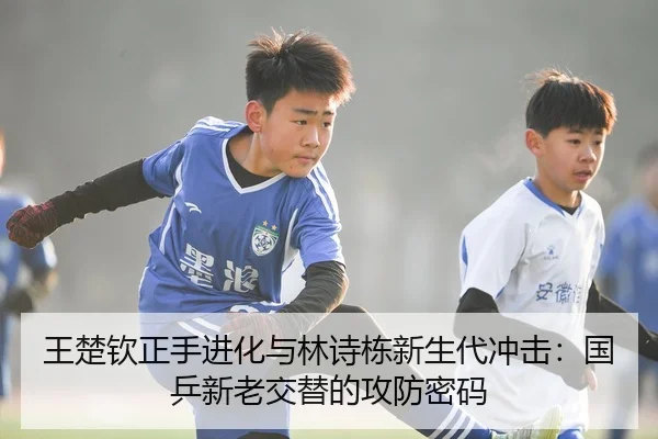 wang-chu-qin-zheng-shou-jin-hua-yu-lin-shi-dong-xin-sheng-dai-chong-ji-guo-ping-xin-lao-jiao-ti-de-gong-fang-mi-ma-3-761.jpg