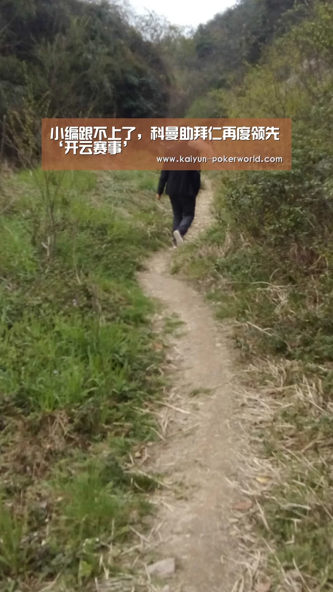 开云赛事