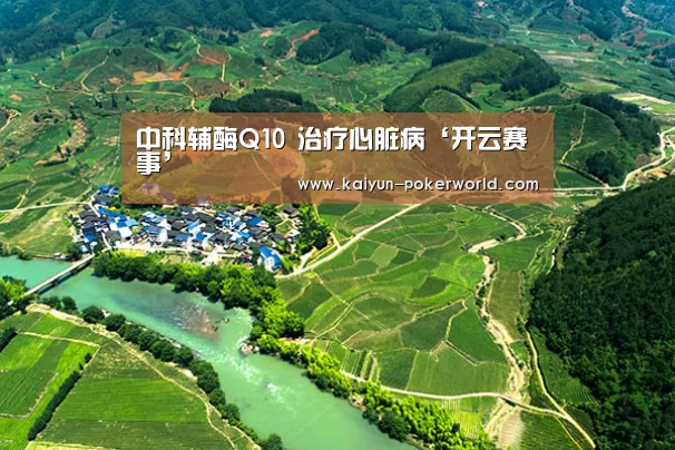 开云赛事