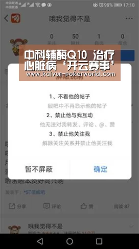 开云篮球