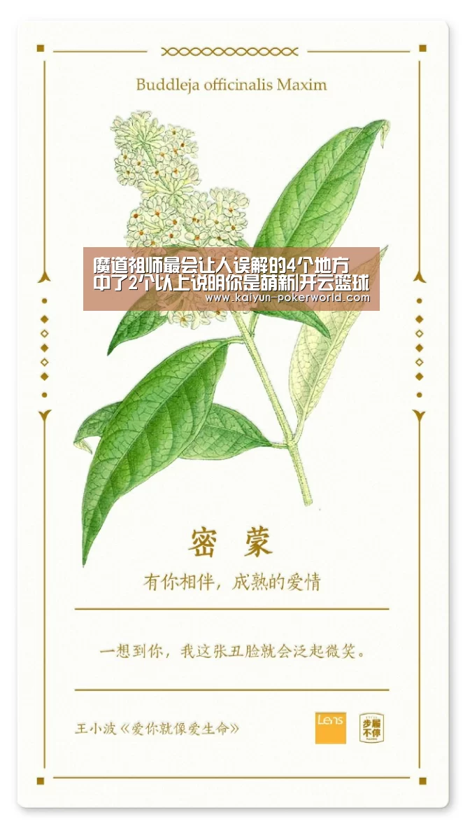 开云体育