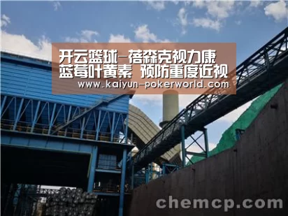 开云篮球-蓓森克视力康蓝莓叶黄素 预防重度近视(图1) 开云体育