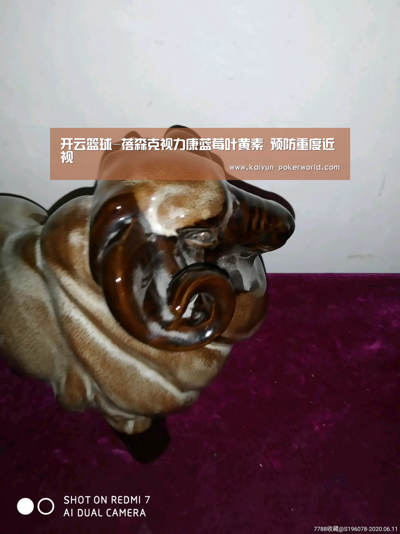 开云篮球-蓓森克视力康蓝莓叶黄素 预防重度近视(图4) 开云体育