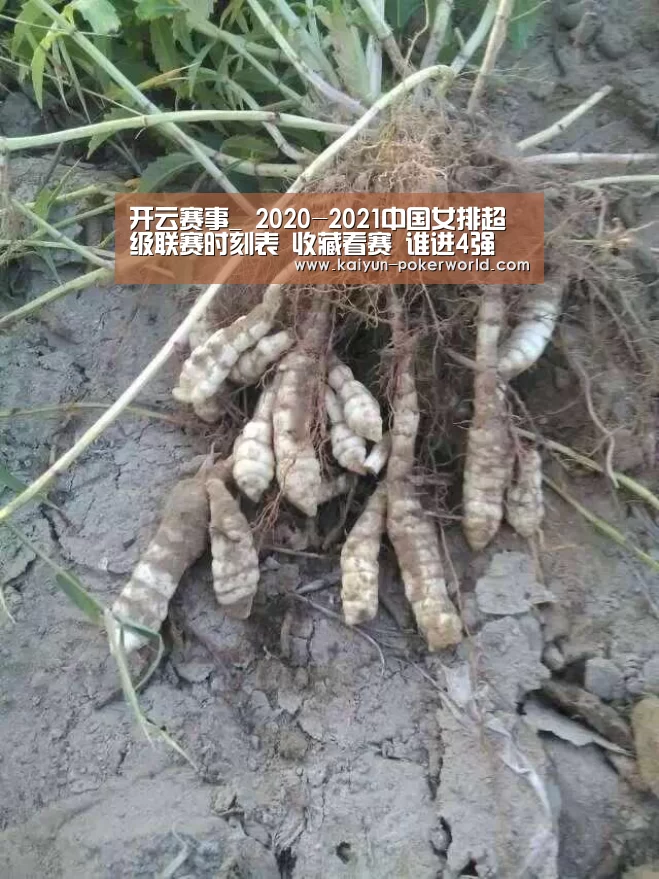 开云赛事_
2020-2021中国女排超级联赛时刻表 收藏看赛 谁进4强