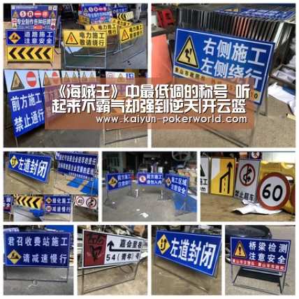 《海贼王》中最低调的称号 听起来不霸气却强到逆天|开云篮球