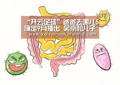 开云赛事